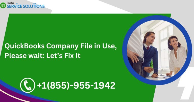 QuickBooks Company File in Use